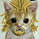 Wolo's avatar