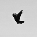 Vinta_'s avatar
