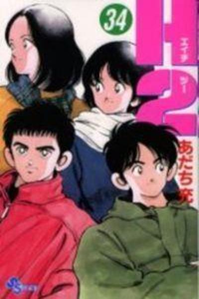 H2 cover