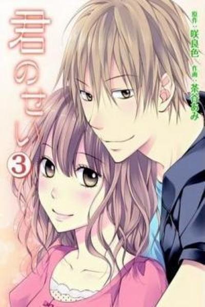 Kimi no Sei cover
