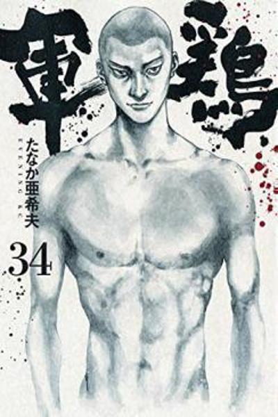 Shamo cover