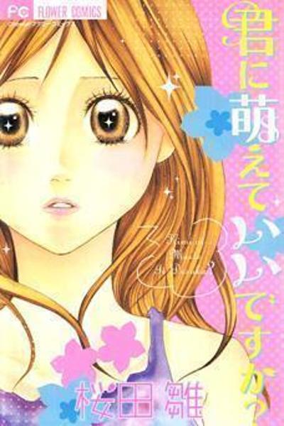 Kimi ni Moete Ii desu ka? cover