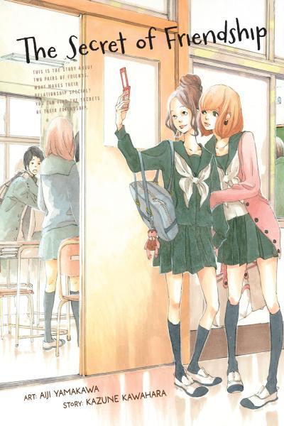The Secret of Friendship cover