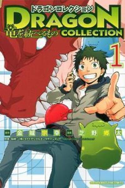 Dragon Collection - Ryuu o Suberumono cover