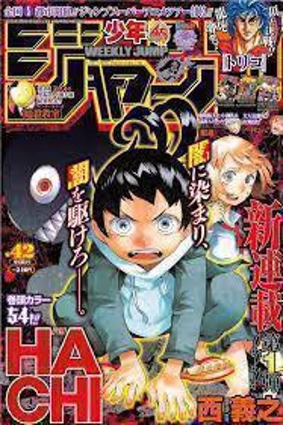 Hachi cover