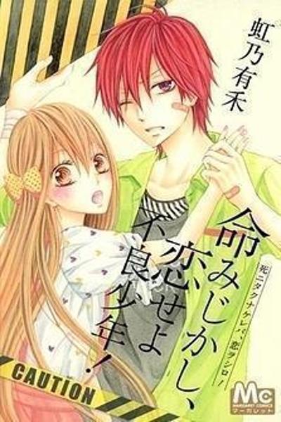 Inochi Mijikashi, Koi seyo Furyou Shounen! cover