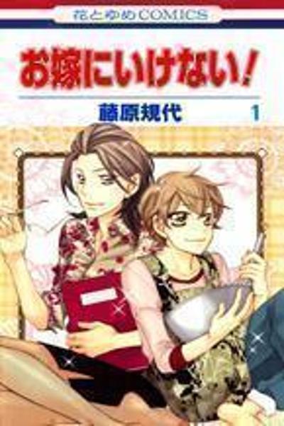 Oyome ni Ikenai! cover