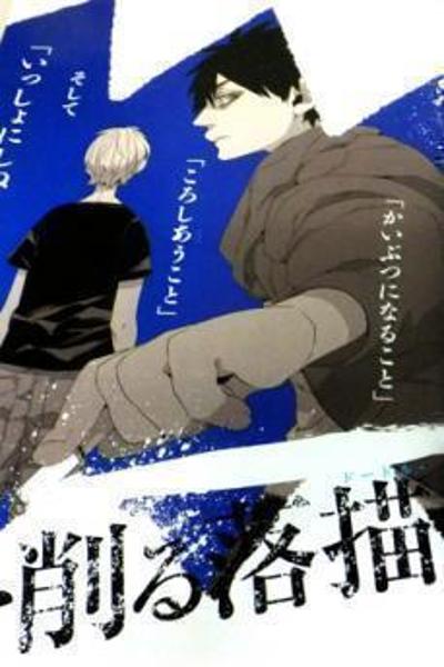 Doodle cover