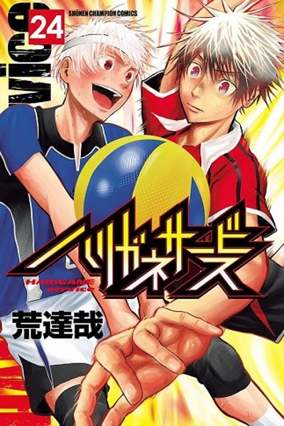 Harigane Service cover