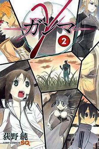Gamma cover