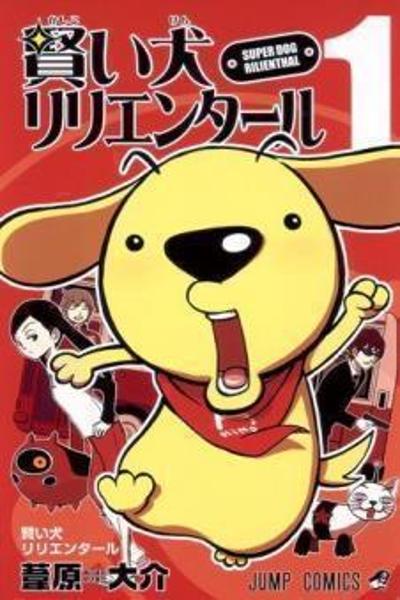 Kashikoi Inu Rilienthal cover