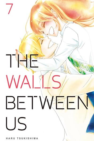 The Walls Between Us cover