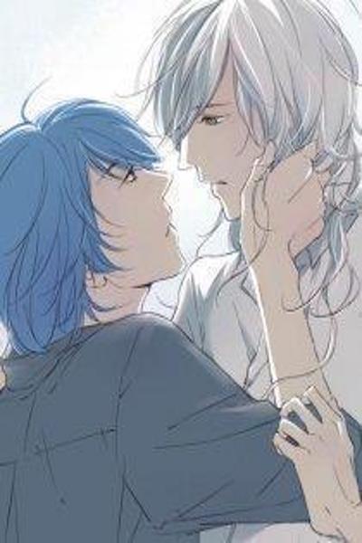 Shades Captor cover