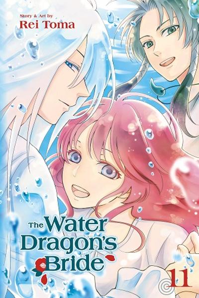 The Water Dragon's Bride cover