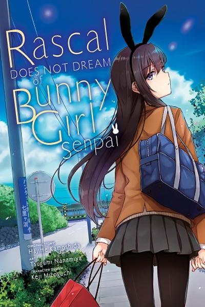 Rascal Does Not Dream of Bunny Girl Senpai cover