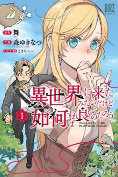 Isekai ni Kita Mitai dakedo Ikaga sureba Yoi no Darou cover