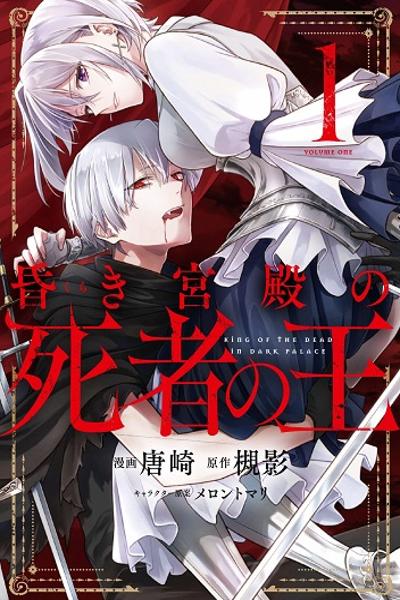 The Undead Lord of the Palace of Darkness cover
