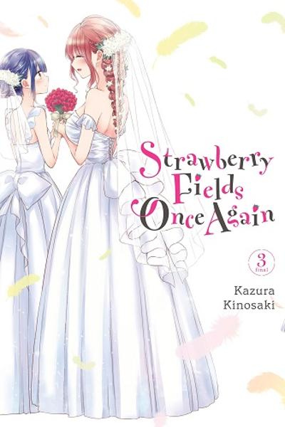 Strawberry Fields Once Again cover