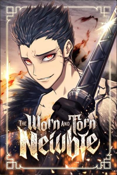 The Worn and Torn Newbie cover
