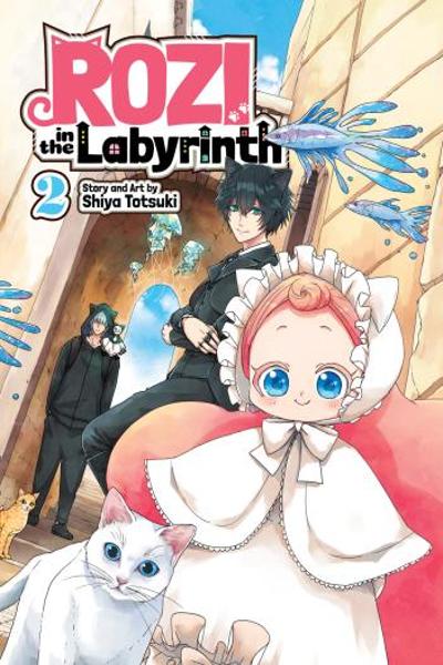Rozi in the Labyrinth cover