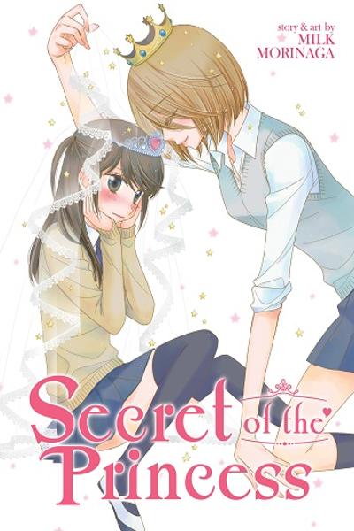 Secret of the Princess cover
