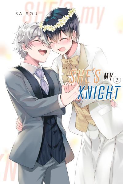 She's My Knight cover