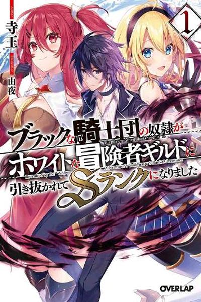 The Slave of the Black Knights cover