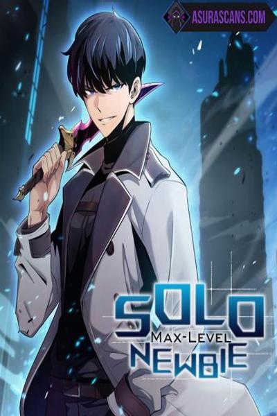 I'm the Max-Level Newbie cover