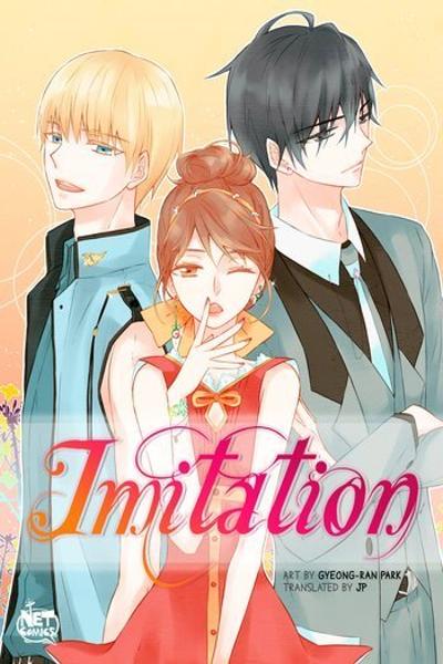 Imitation cover