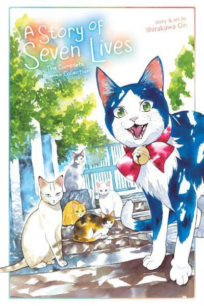 A Story of Seven Lives cover
