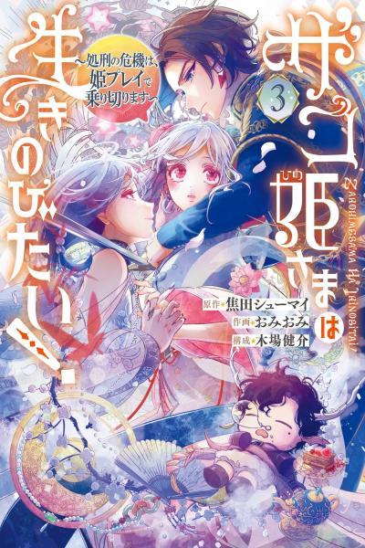 The Newbie Princess Doesn't Want a Game Over cover
