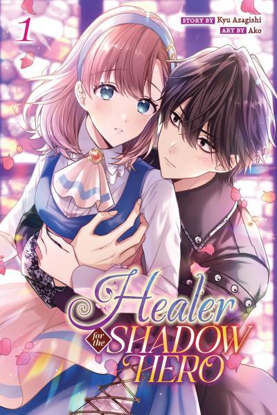 Healer for the Shadow Hero cover