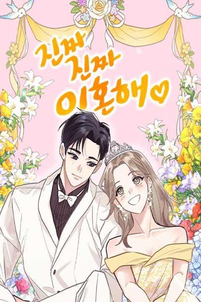 Let's Get Divorced! cover
