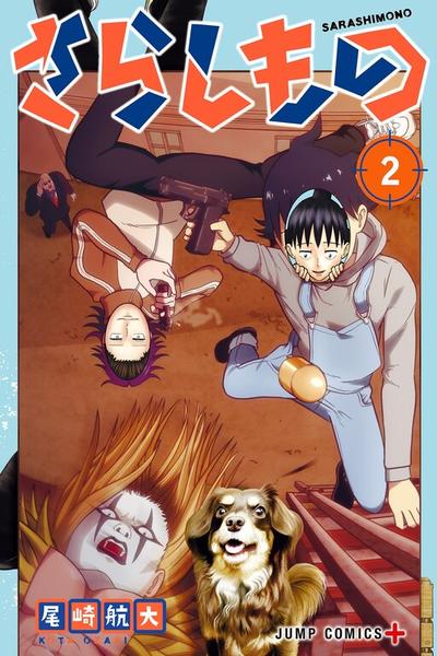 Fool cover