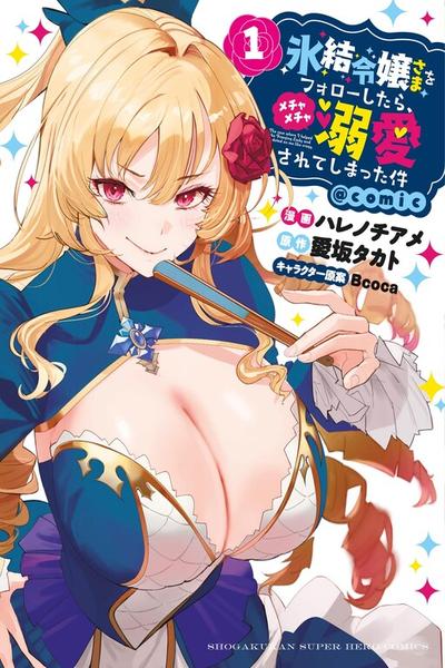 Hyouketsu Reijou-sama wo Follow Shitara, Mechamecha Dekiai Sareteshimatta Ken cover
