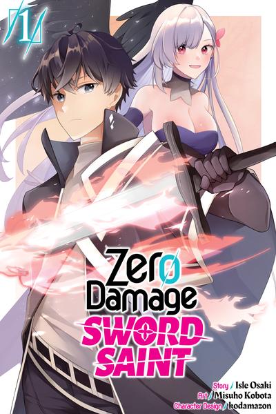 Zero Damage Sword Saint cover