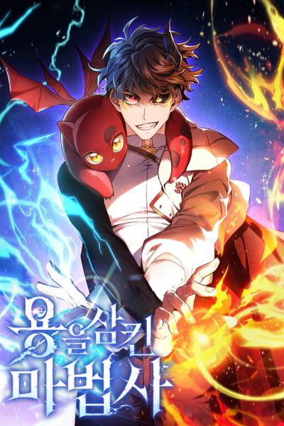 The Mage: Swallowed the Dragon cover