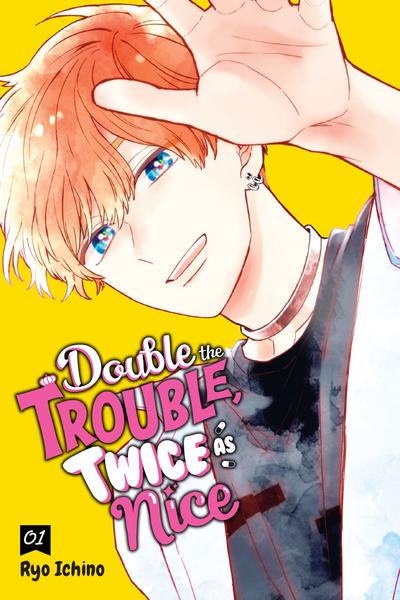 Double the Trouble, Twice as Nice cover