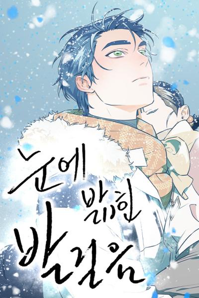 Footsteps in the Snow cover