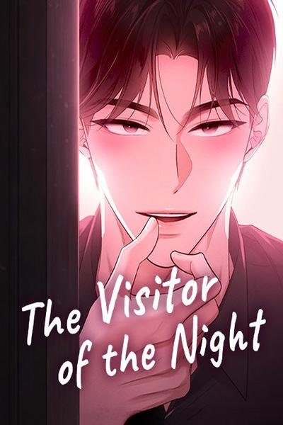 The Visitor of the Night cover