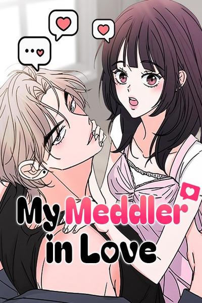 My Meddler in Love cover