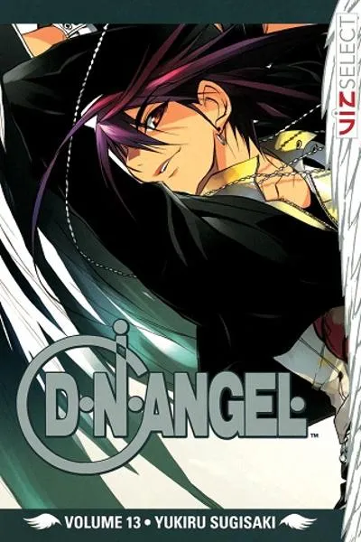 D.N.Angel
