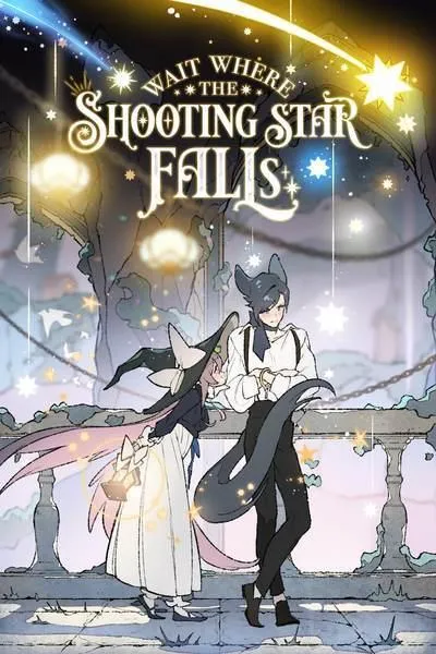 Wait Where the Shooting Star Falls