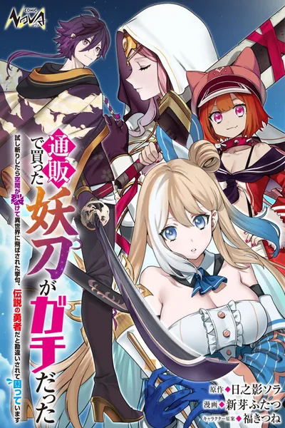 Tsuuhan de Katta Youtou ga Gachi datta: Tameshigiri Shitara Kuukan ga Sakete Isekai ni Tobasareta Ageku, Densetsu no Yuusha da to Kanchigai Sarete Komatteimasu